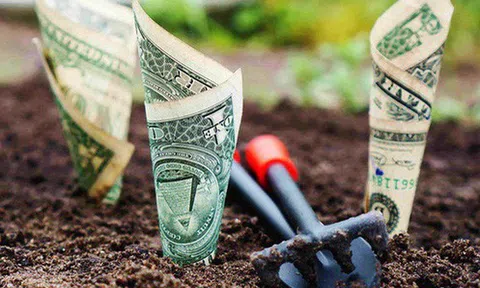 Tại sao phải khổ sở kiếm tiền? Đây chính là câu trả lời chuẩn xác, đáng ngẫm nhất!