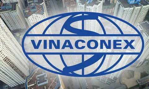 Thâu tóm xong Vinaconex, nhóm An Quý Hưng đang nắm trong tay quỹ đất lớn cỡ nào?
