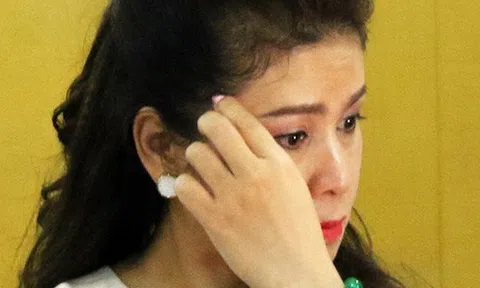 Bà Lê Hoàng Diệp Thảo: Hoãn tòa tức là gia đình chúng ta được tính thêm 1 mùa xuân là gia đình của nhau