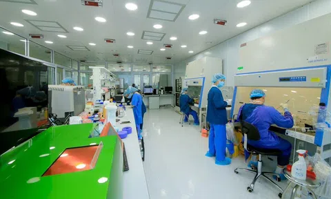 Vingroup cấp 1.100 suất học bổng sau đại học ở nước ngoài