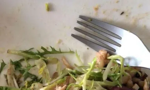 Giòi sống bò lổm ngổm trong suất ăn của khách VIP trên máy bay