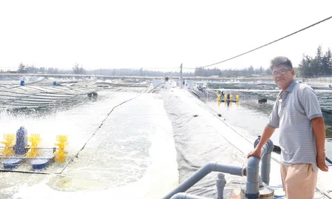 Chuyện ít biết về anh trai tỉ phú Trần Bá Dương