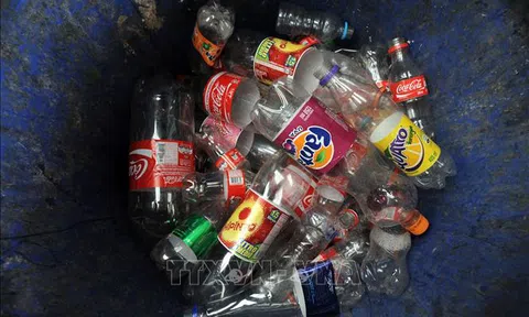 Coca-Cola, PepsiCo và Nestle - Các 'đại gia' rác thải nhựa