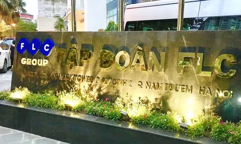 FLC bị cưỡng chế hơn 160 tỷ đồng tiền nợ thuế