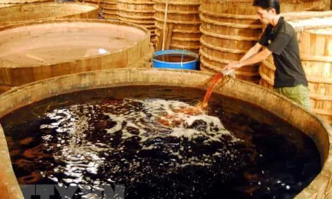 Nước mắm, nước muối và nước mắt…