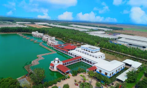 Có gì bên trong 'resort' cho bò hơn ngàn tỷ của Vinamilk ở Tây Ninh?