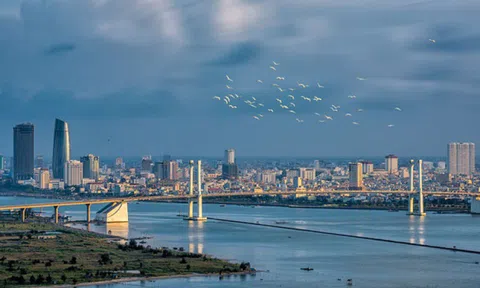 Từ việc sốt đất 'ảo' nghĩ về câu chuyện đảo khỉ