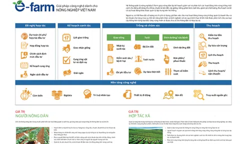 Lần đầu tiên ở Việt Nam, ra mắt mô hình dịch vụ hỗ trợ nông dân khép kín: từ khâu chuẩn bị đất, cây giống đến thu hoạch đều được kiểm soát bằng AI
