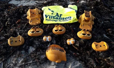 Sau 35 năm, bí ẩn 'bãi biển điện thoại Garfield' ở Pháp đã có lời giải