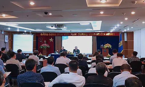 Cú sốc Vinaconex: Một biến động lớn, nghìn tỷ 'bốc hơi'