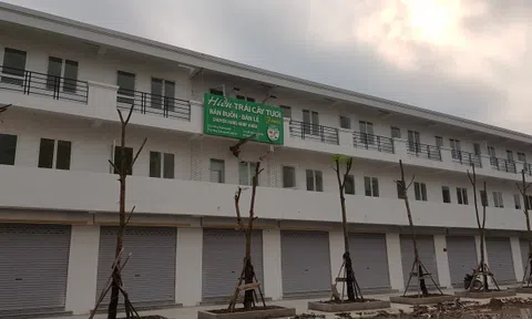 Hải Phòng: Thu hồi “đất vàng” giá 0 đồng khiến người dân phẫn uất