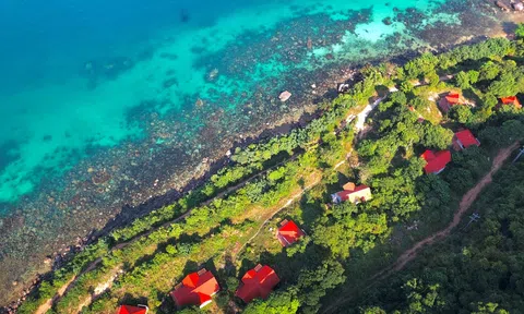 Đón chào lễ và mùa hè rực rỡ theo cách của bạn tại Premier Residences Phu Quoc Emerald Bay