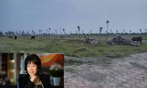 Đại gia công nghệ 'ôm đất' bỏ hoang từ nội thành ra ngoại thành thủ đô
