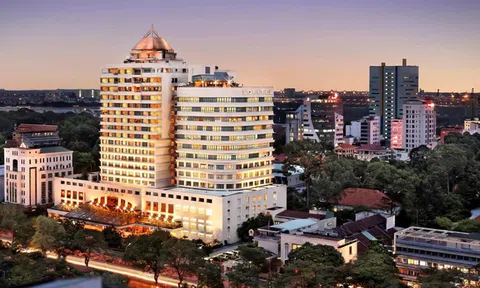 Các liên doanh khách sạn Sofitel Plaza, Norfolk, Sài Gòn Riverside... chia cho Bến Thành Group bao nhiêu tiền lợi nhuận?