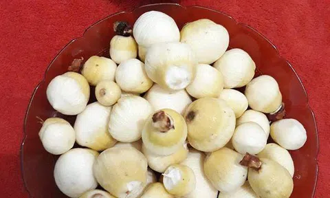 Kỳ lạ 'mầm dừa' miền Tây đi 'chuyên cơ', chị em Hà Thành tranh nhau mua