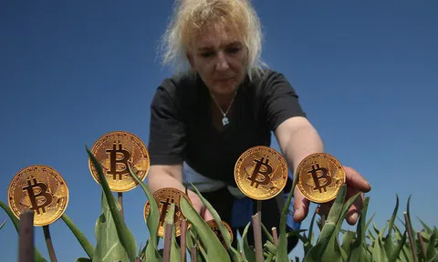 Bitcoin là hội chứng hoa tulip nở rộ rồi tàn lụi nhanh chóng hay giống như internet đời đầu cần thời gian để khai thác tiềm năng?