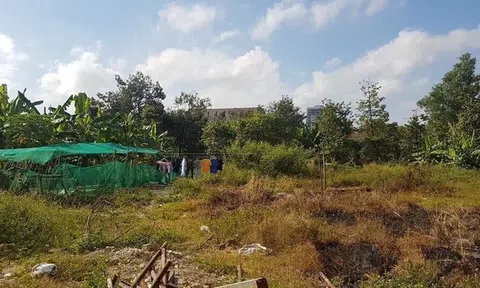 Phát hiện 2 công ty bất động sản lấy đất quy hoạch đi bán