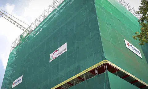 Đại hội Coteccons 2019: Bàn tiếp câu chuyện sáp nhập Ricons