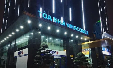 Thâu tóm xong Vinaconex, sếp An Quý Hưng nhường ghế cho 9x