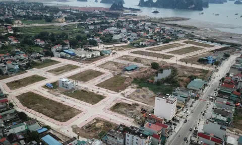 'Đầu tư bất động sản tại Vân Đồn thời điểm này chắc chắn có lãi'