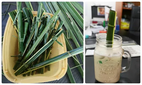 Ống hút lá dừa gây sốt tại Philippines