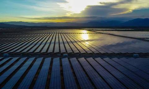 Cụm nhà máy điện mặt trời lớn nhất Đông Nam Á khánh thành tại Ninh Thuận