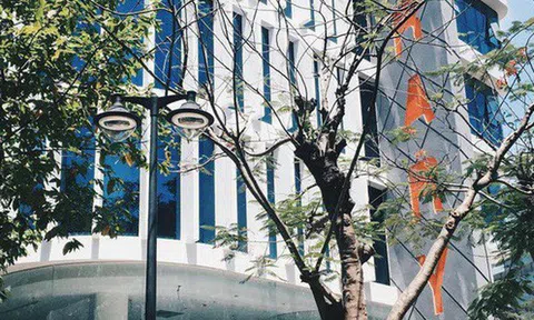 Một trường Đại học ở Việt Nam lọt top 200 trường ảnh hưởng nhất đến sự phát triển Kinh tế-Xã hội của thế giới