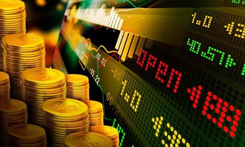 Lại thêm 1 cá nhân bị phạt nặng vì sử dụng 18 tài khoản thao túng giá cổ phiếu AMV