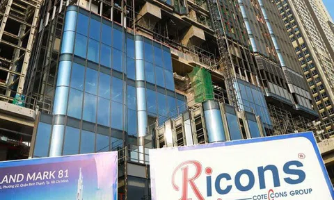 Tâm điểm mâu thuẫn tại Coteccons: Những ai đang sở hữu Ricons?