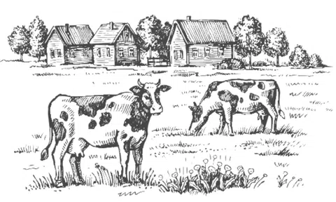 Sữa Việt Nam chuẩn bị được xuất khẩu chính ngạch sang Trung Quốc: Cuộc chơi mới của Vinamilk, TH True Milk và ...Masan