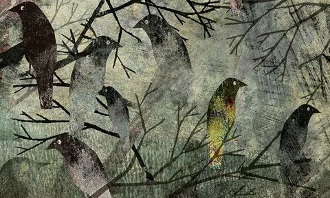 Phượng hoàng hồi sinh hay “những con chim ẩn mình chờ chết”!?