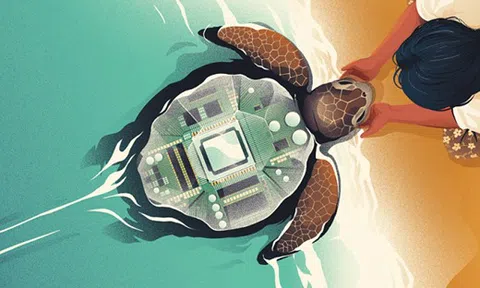 Bỏ giấc mơ Mỹ, 'rùa biển' Đông Nam Á về nước khởi nghiệp