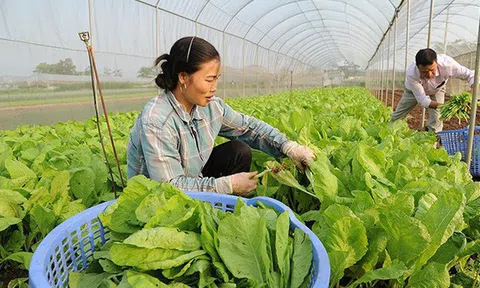 Grab đã "đốt" hơn 100 triệu USD ở thị trường Việt Nam, và giờ họ muốn đầu tư vào các startup nông nghiệp