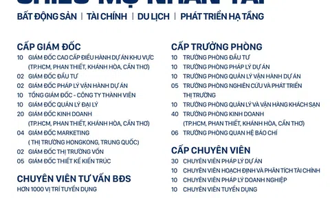 Novaland chủ động tìm kiếm nhân sự bất động sản du lịch cấp cao