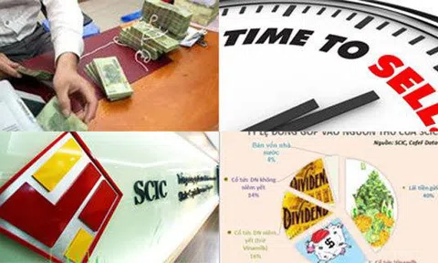 'Cá bé nuốt cá lớn': Nhìn từ thương vụ An Quý Hưng thâu tóm Vinaconex