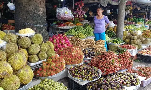 Độc quyền đẩy phí chiếu xạ trái cây Việt Nam cao gấp 4 lần Thái Lan