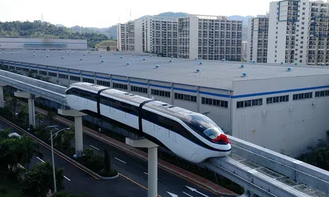 Alpha King muốn đầu tư tàu điện 1 ray trên cao ở TP. HCM