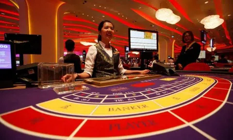 Các tay chơi bạc lớn của Macau sẽ đổ về Việt Nam