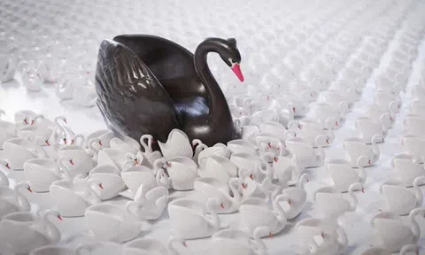 Thời của Thiên Nga Đen