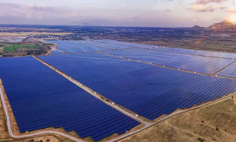 Ai đang dẫn đầu trong mảng năng lượng tái tạo ở Việt Nam? (P.2)