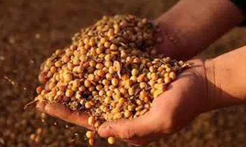 Trung Quốc đi nước cờ mới chống Mỹ, tấn công trực diện vào "cái nôi chính trị" của Tổng thống Trump