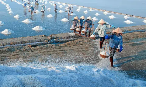 Ngành muối Việt khốn khổ vì hàng nhập khẩu và biến đổi khí hậu