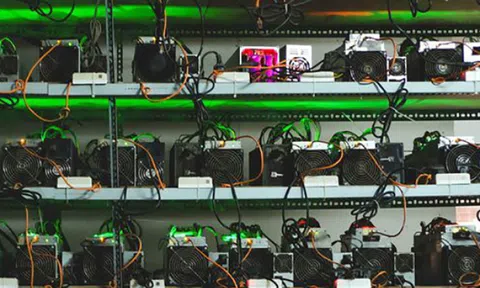 Nhà đầu tư bán gấp 'trâu cày' Bitcoin vì lỗ đậm