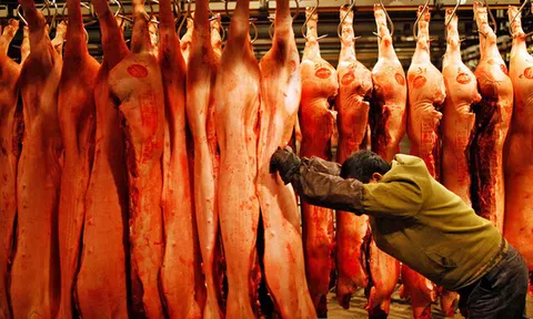 Chuyện lạ: Ăn chay đang là xu thế nhưng cơn khát thịt của loài người vẫn ngày một tăng