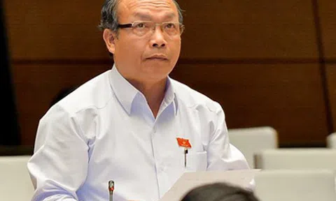 Đại biểu Quốc hội: 'Nhiều người giàu lên từ ôm đất vàng'