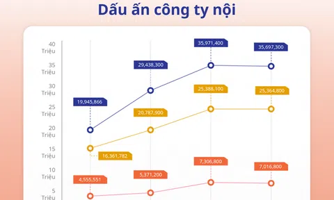 Toàn cảnh thế trận giằng co giữa trên trận địa TMĐT Việt Nam: Các tay chơi chủ nhà đối đầu toàn đại gia khu vực hòng giành lấy thị trường nội địa