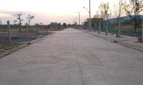 Bình Dương công bố 11 dự án ngâm đất bị 'khai tử'