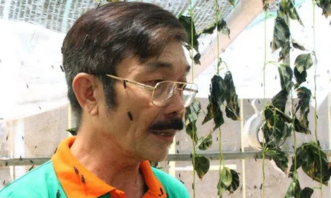 Bỏ công việc 'hái ra tiền', kiến trúc sư đi… nuôi ruồi kiếm thu nhập trăm triệu/tháng