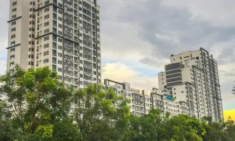 Dự án New City Thủ Thiêm bị chuyển đổi trái phép