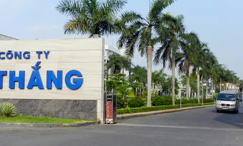 Đằng sau câu chuyện trả cổ tức 'khủng' 100% của May Việt Thắng